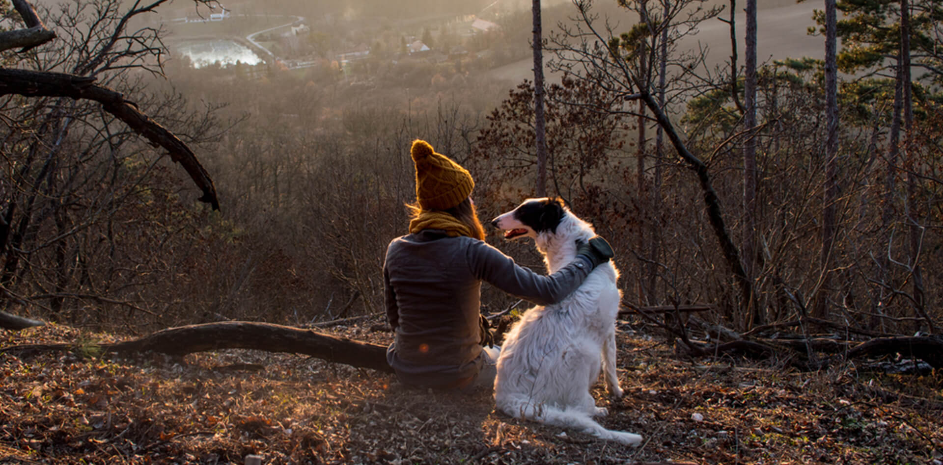 Pet Express International Pet Transport Specialists Pet Travel Agency