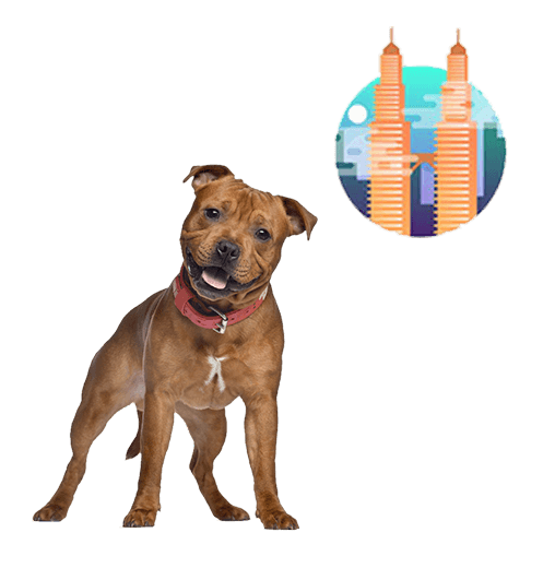 Moving Pets from Sri Lanka to Malaysia • Pet Express • The Pet