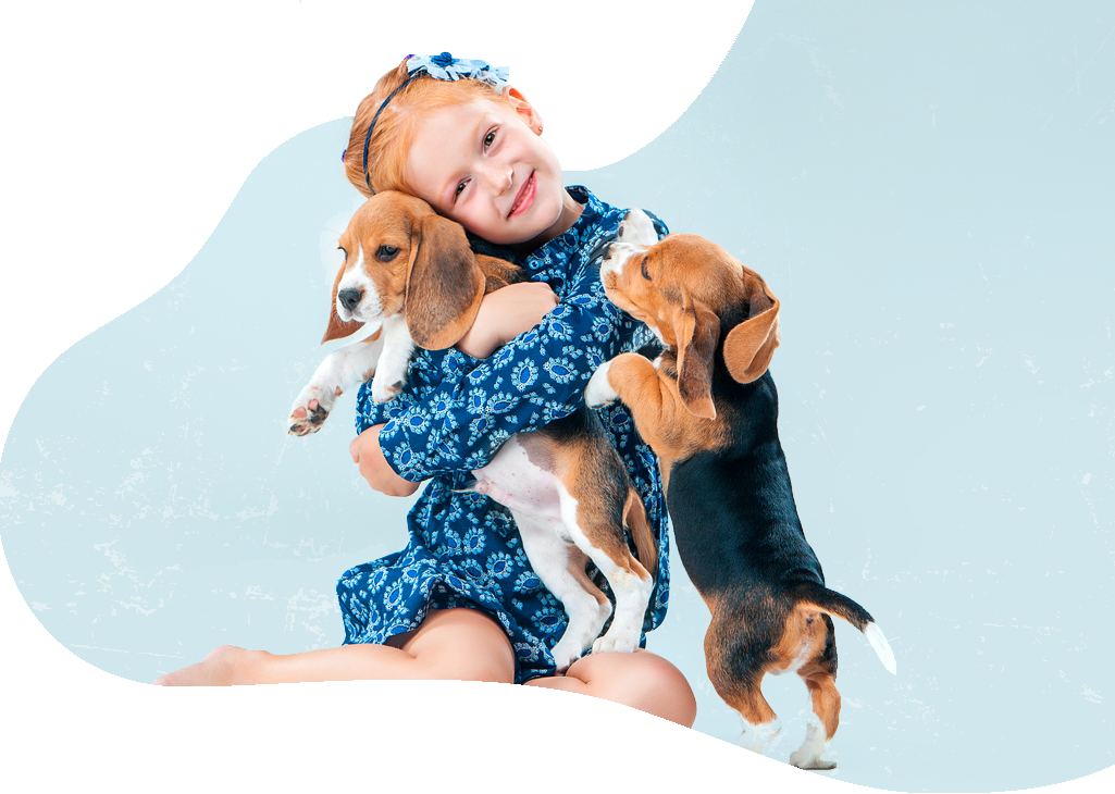 Pet Express International Pet Shipping Services About Us