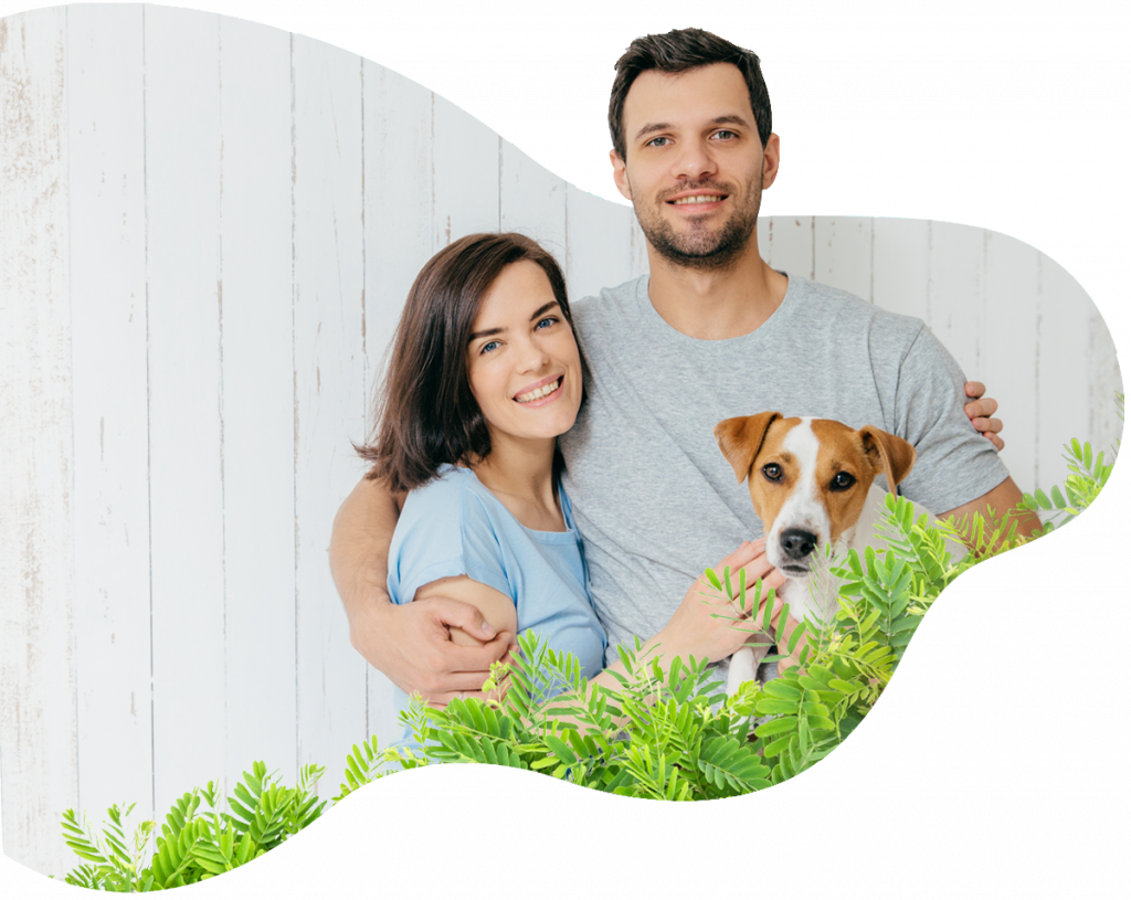  | Pet Relocation | Pet Shipping Services | Animal Transport
