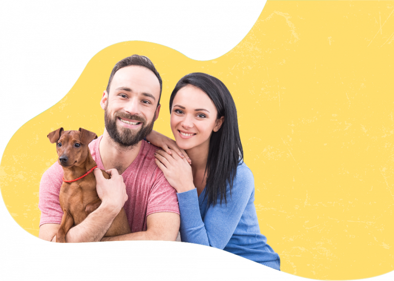 Pet Express Get a Pet Transport Quote Contact Us