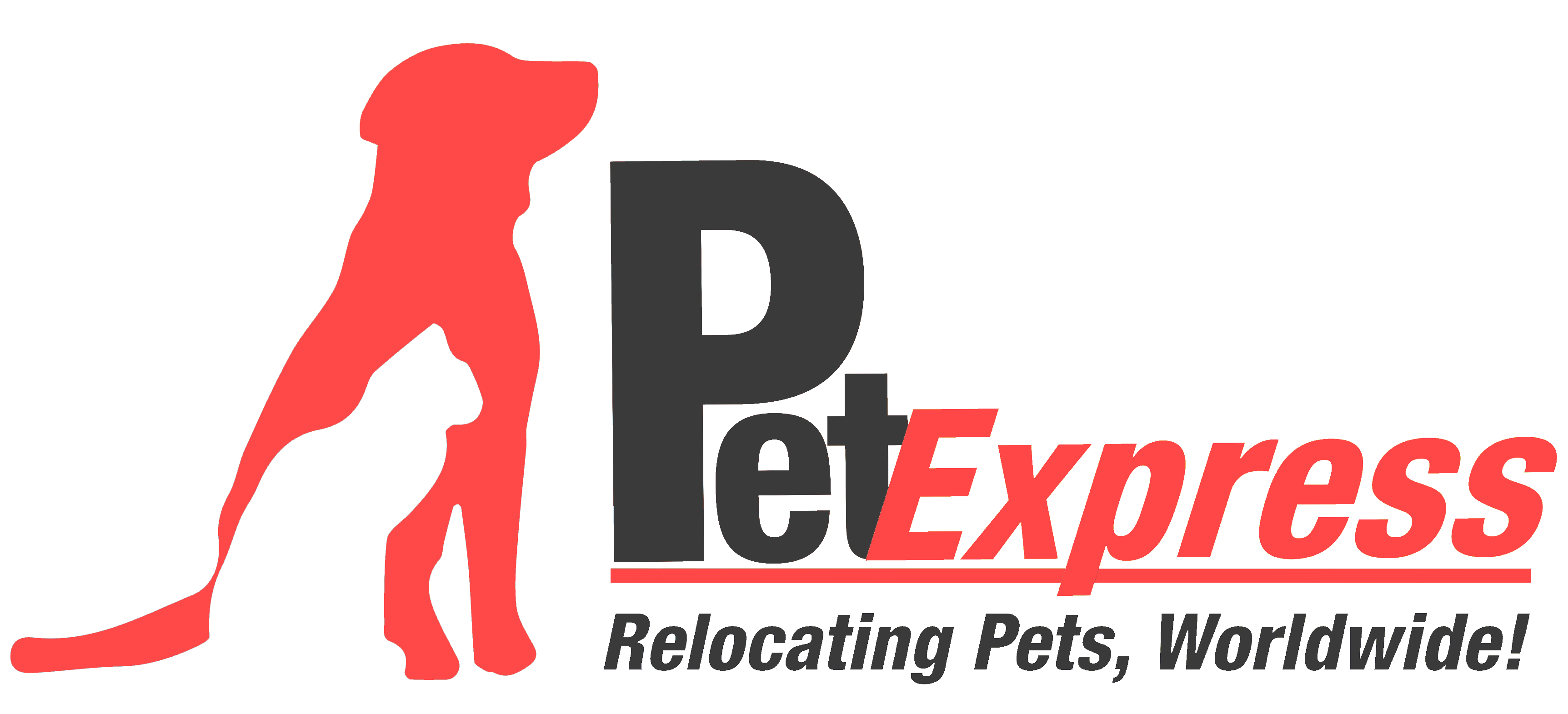 Take pets from Sri Lanka Pet Express Sri Lanka