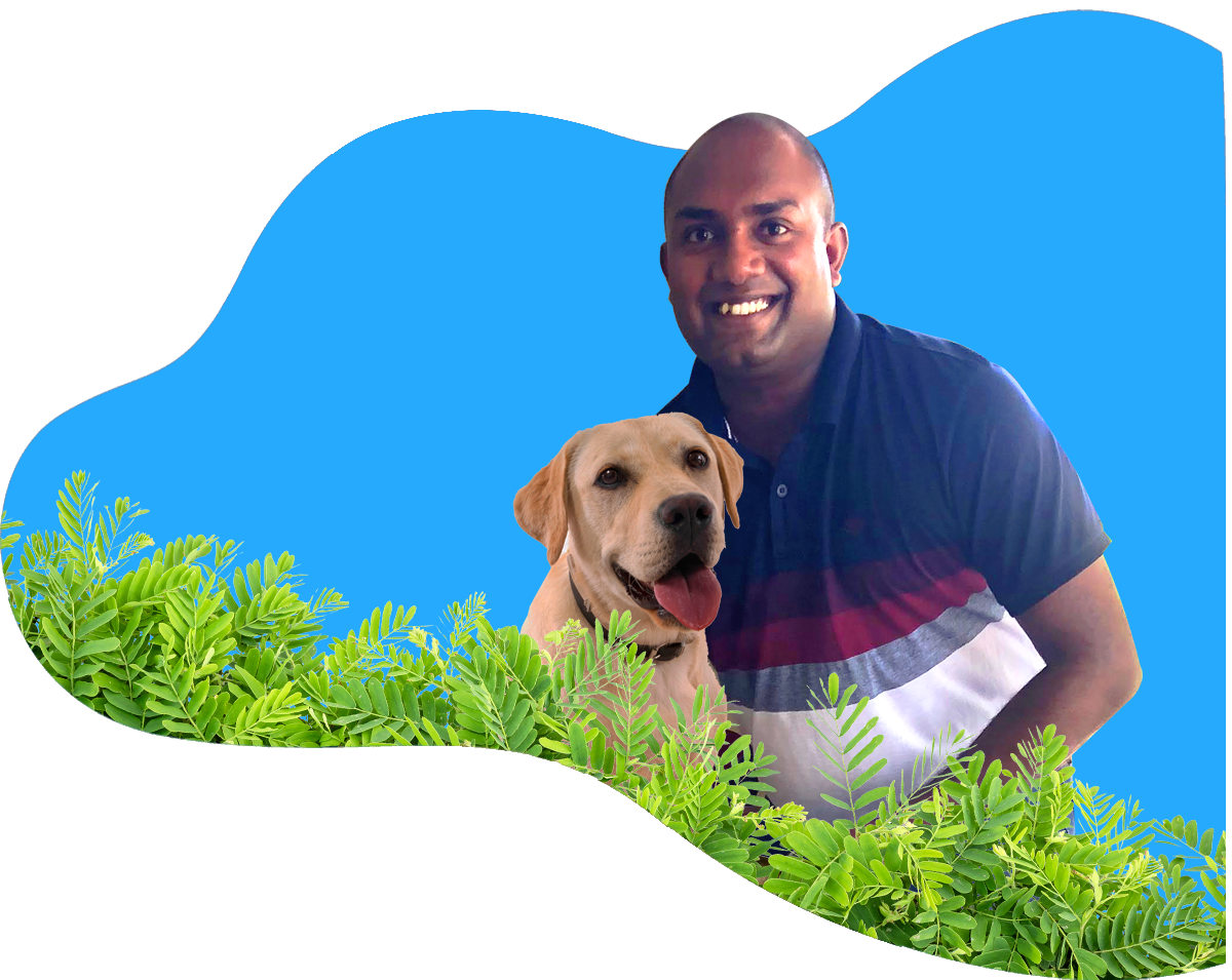 Pet Express Moving Pets from Sri Lanka to Overseas Exporting Pets