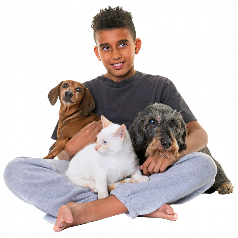 Pet Express Flying Rescued Cats & Dogs from Sri Lanka to Overseas