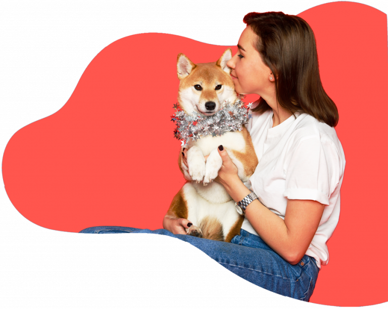 Pet Express IATA Compliant Dog & Cat Crates for Air Travel